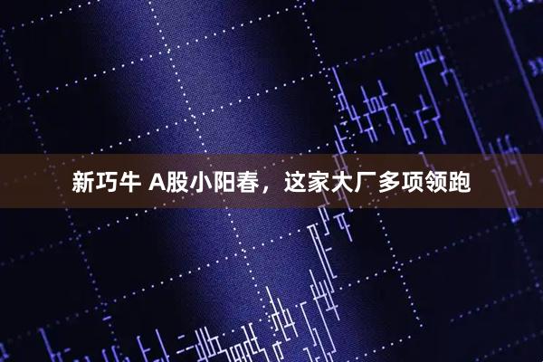 新巧牛 A股小阳春，这家大厂多项领跑