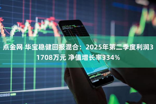 点金网 华宝稳健回报混合：2025年第二季度利润31708万元 净值增长率334%