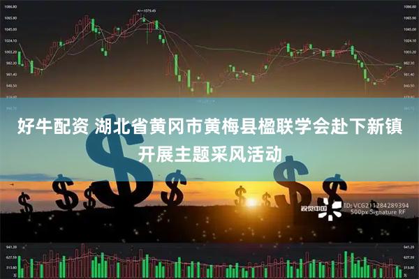 好牛配资 湖北省黄冈市黄梅县楹联学会赴下新镇开展主题采风活动
